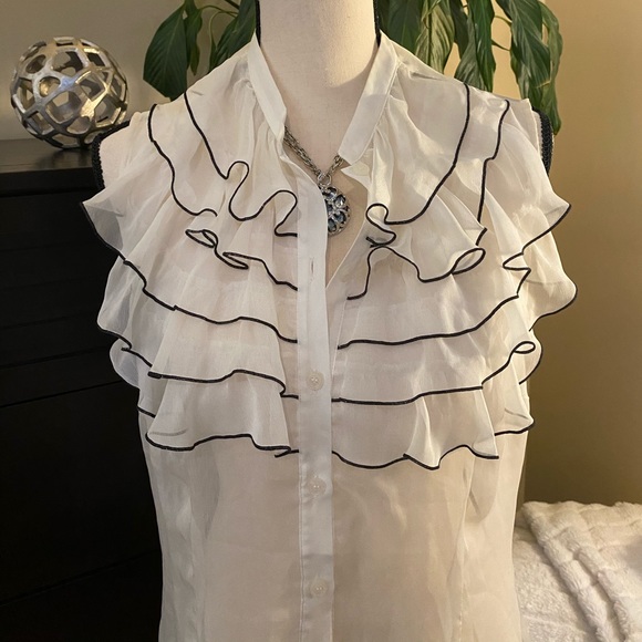 The Limited Sheer Ruffled Blouse - Picture 3 of 10
